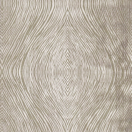 CLARKE AND CLARKE F1336/05.CAC.0 LUSTER MOCHA Fabric - Eade's Wallpaper