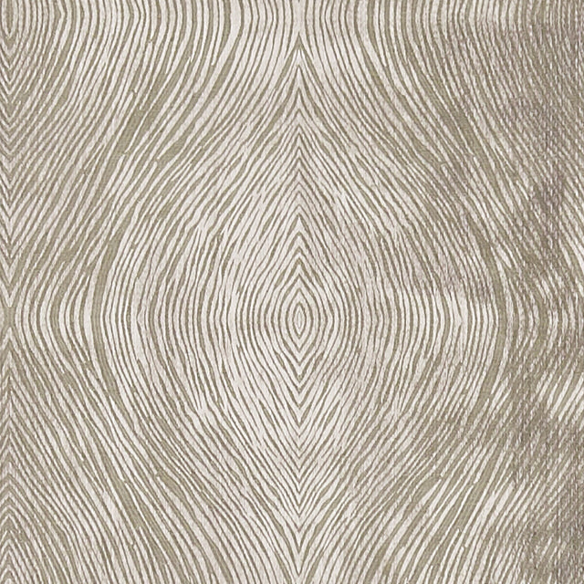 CLARKE AND CLARKE F1336/05.CAC.0 LUSTER MOCHA Fabric - Eade's Wallpaper