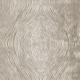 CLARKE AND CLARKE F1336/05.CAC.0 LUSTER MOCHA Fabric - Eade's Wallpaper