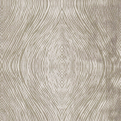 CLARKE AND CLARKE F1336/05.CAC.0 LUSTER MOCHA Fabric - Eade's Wallpaper