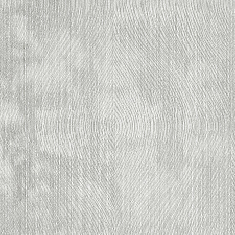 CLARKE AND CLARKE F1336/06.CAC.0 LUSTER SILVER Fabric - Eade's Wallpaper