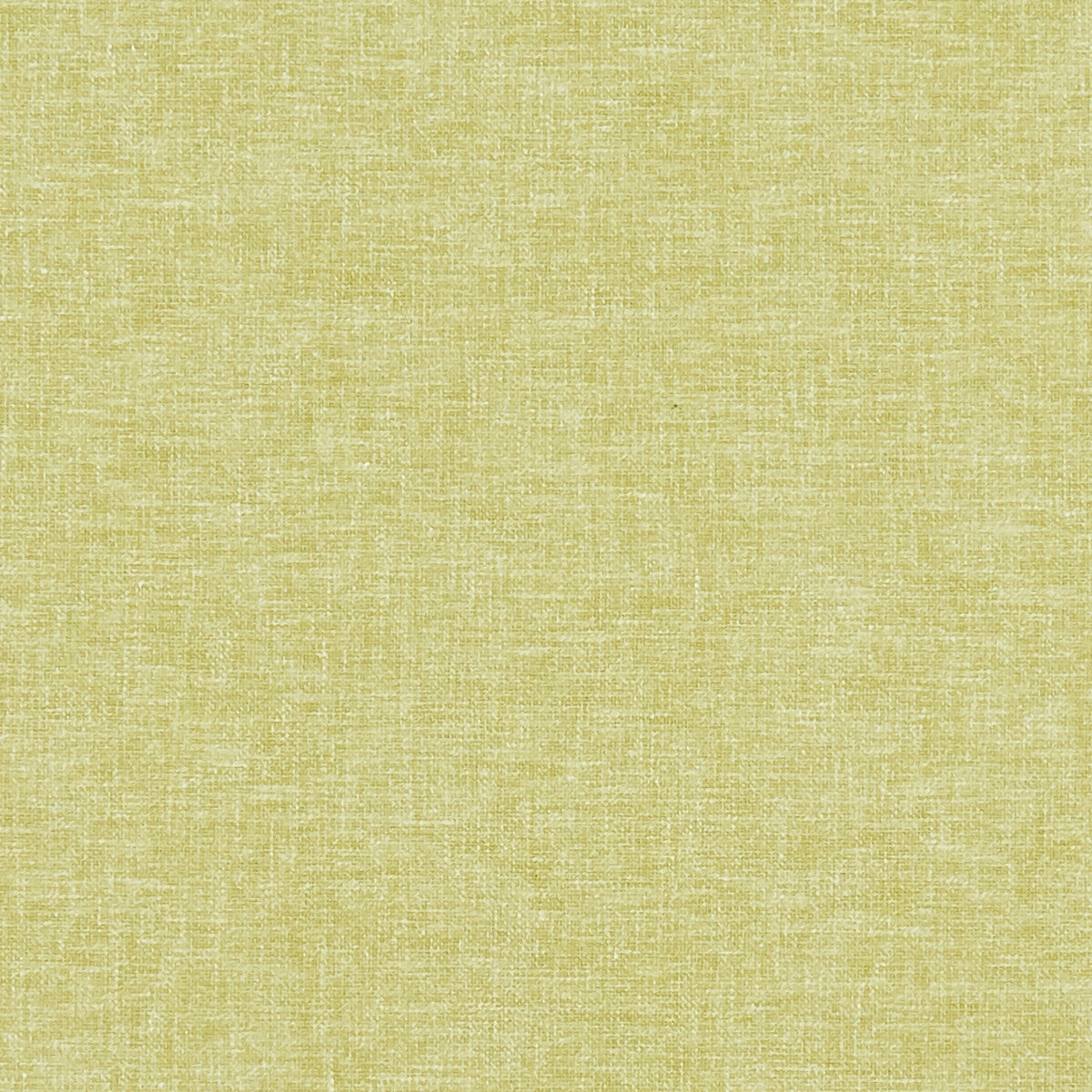 CLARKE AND CLARKE F1345/08.CAC.0 KELSO CITRUS Fabric - Eade's Wallpaper