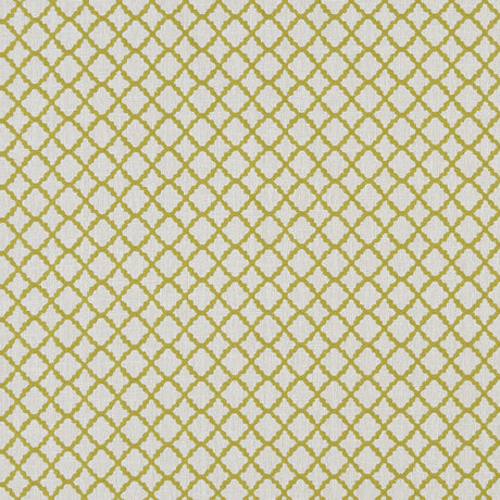 CLARKE AND CLARKE F1364/03.CAC.0 ARIYANA CHARTREUSE Fabric - Eade's Wallpaper