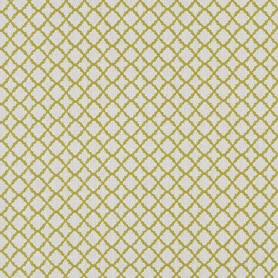 CLARKE AND CLARKE F1364/03.CAC.0 ARIYANA CHARTREUSE Fabric - Eade's Wallpaper