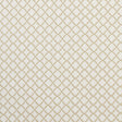 CLARKE AND CLARKE F1364/07.CAC.0 ARIYANA NATURAL Fabric - Eade's Wallpaper