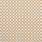 CLARKE AND CLARKE F1364/08.CAC.0 ARIYANA SPICE Fabric - Eade's Wallpaper