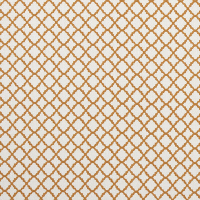 CLARKE AND CLARKE F1364/08.CAC.0 ARIYANA SPICE Fabric - Eade's Wallpaper