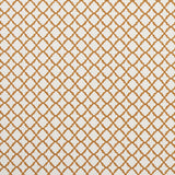 CLARKE AND CLARKE F1364/08.CAC.0 ARIYANA SPICE Fabric - Eade's Wallpaper