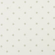 CLARKE AND CLARKE F1365/01.CAC.0 ESTA CHAMPAGNE/IVORY Fabric - Eade's Wallpaper
