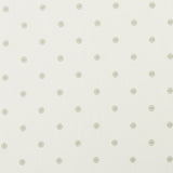 CLARKE AND CLARKE F1365/01.CAC.0 ESTA CHAMPAGNE/IVORY Fabric - Eade's Wallpaper