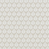 CLARKE AND CLARKE F1372/05.CAC.0 ELISE NATURAL Fabric - Eade's Wallpaper