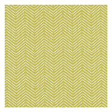 CLARKE AND CLARKE F1378/03.CAC.0 PICA CITRUS Fabric - Eade's Wallpaper