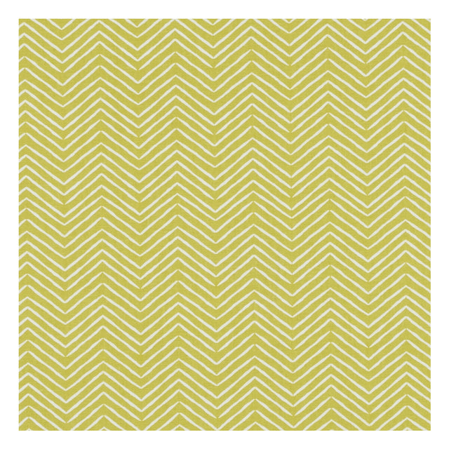 CLARKE AND CLARKE F1378/03.CAC.0 PICA CITRUS Fabric - Eade's Wallpaper
