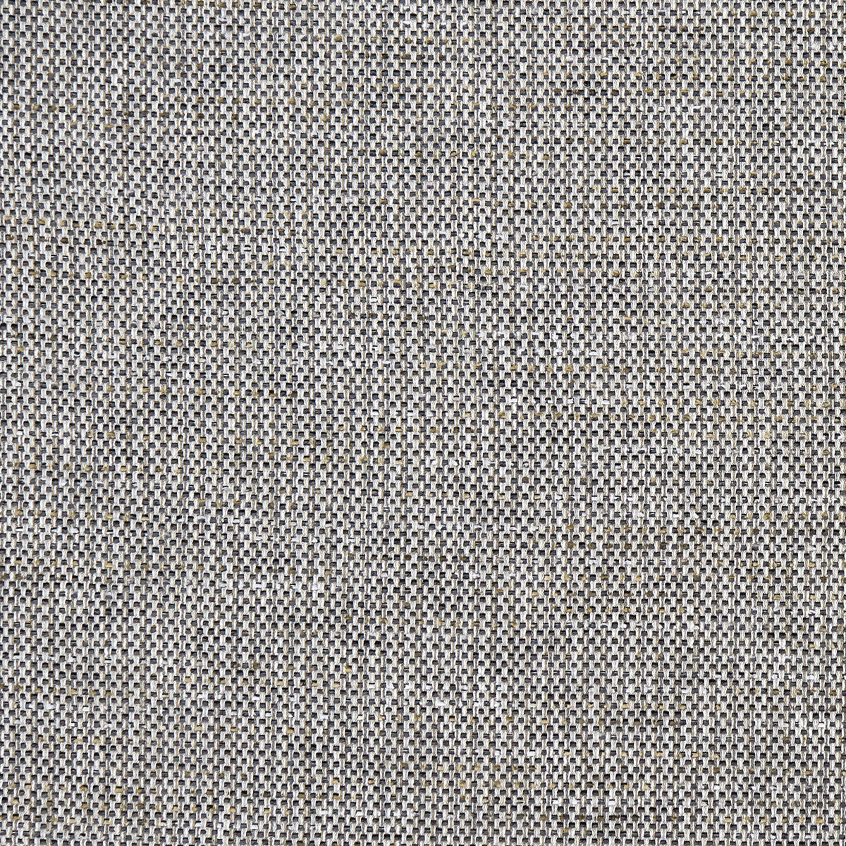 CLARKE AND CLARKE F1388/03.CAC.0 LOUIS CHARCOAL Fabric - Eade's Wallpaper