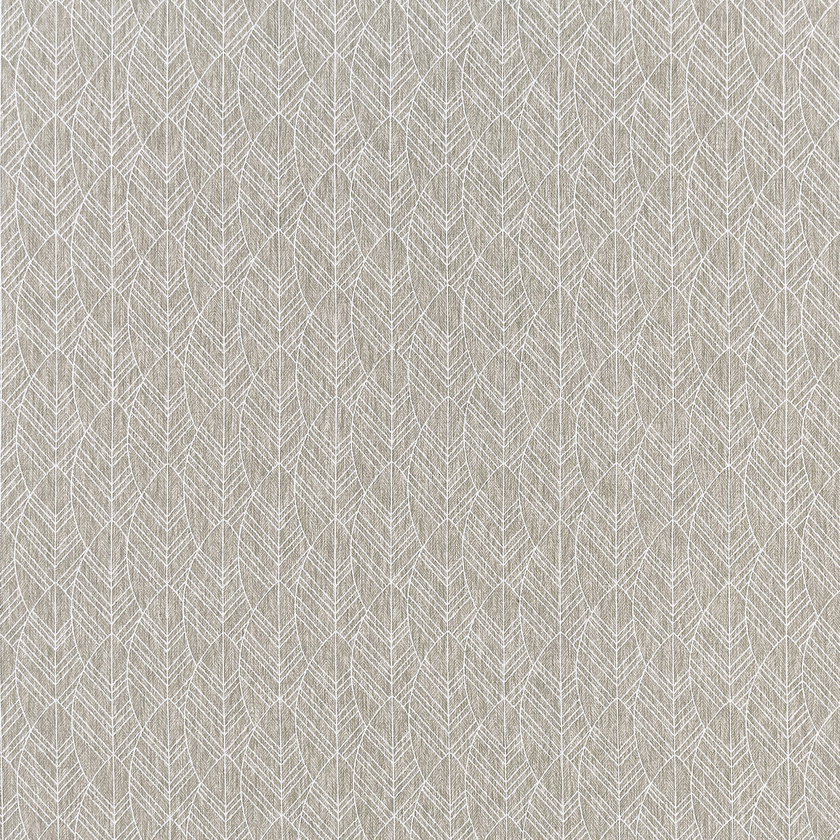 CLARKE AND CLARKE F1412/04.CAC.0 ATIKA FEATHER Fabric - Eade's Wallpaper