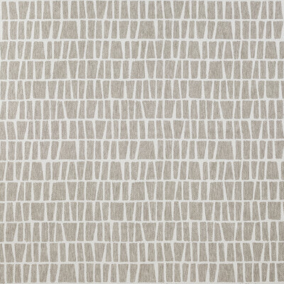 CLARKE AND CLARKE F1414/02.CAC.0 QUADRO FEATHER Fabric - Eade's Wallpaper