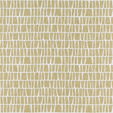 CLARKE AND CLARKE F1414/06.CAC.0 QUADRO OCHRE Fabric - Eade's Wallpaper