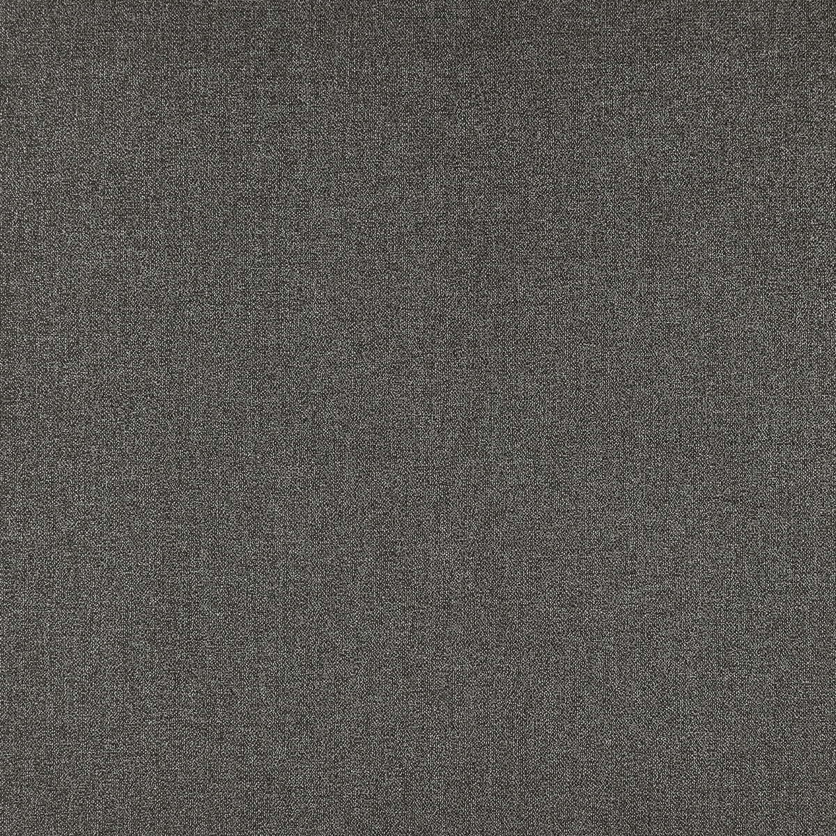 CLARKE AND CLARKE F1416/03.CAC.0 ACIES CHARCOAL Fabric - Eade's Wallpaper