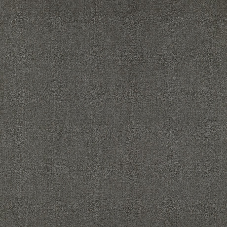 CLARKE AND CLARKE F1416/03.CAC.0 ACIES CHARCOAL Fabric - Eade's Wallpaper