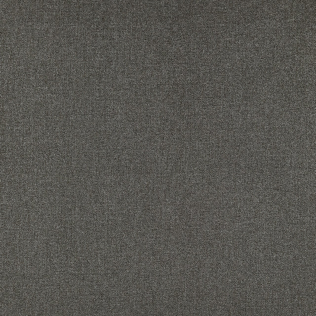 CLARKE AND CLARKE F1416/03.CAC.0 ACIES CHARCOAL Fabric - Eade's Wallpaper