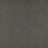 CLARKE AND CLARKE F1416/03.CAC.0 ACIES CHARCOAL Fabric - Eade's Wallpaper