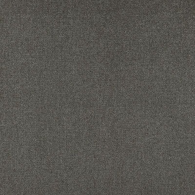 CLARKE AND CLARKE F1416/03.CAC.0 ACIES CHARCOAL Fabric - Eade's Wallpaper