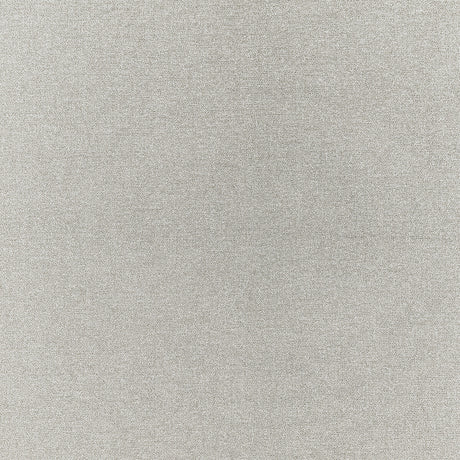 CLARKE AND CLARKE F1416/08.CAC.0 ACIES SILVER Fabric - Eade's Wallpaper