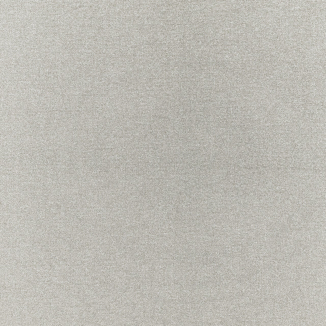 CLARKE AND CLARKE F1416/08.CAC.0 ACIES SILVER Fabric - Eade's Wallpaper