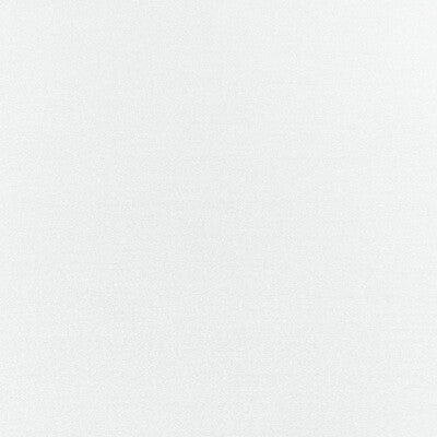 CLARKE AND CLARKE F1419/06.CAC.0 FELPA POLAR Fabric - Eade's Wallpaper