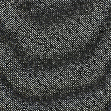 CLARKE AND CLARKE F1421/02.CAC.0 FILUM EBONY Fabric - Eade's Wallpaper