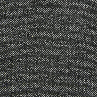 CLARKE AND CLARKE F1421/02.CAC.0 FILUM EBONY Fabric - Eade's Wallpaper