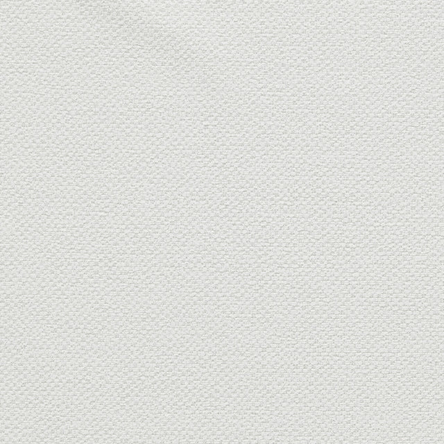 CLARKE AND CLARKE F1421/03.CAC.0 FILUM POLAR Fabric - Eade's Wallpaper