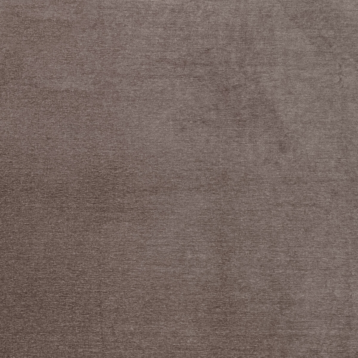 CLARKE AND CLARKE F1423/08.CAC.0 MACULO HEATHER Fabric - Eade's Wallpaper