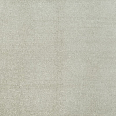 CLARKE AND CLARKE F1423/10.CAC.0 MACULO NATURAL Fabric - Eade's Wallpaper