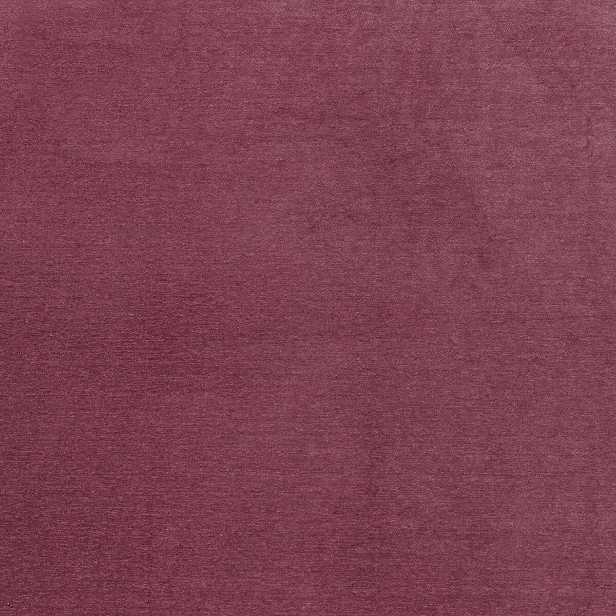 CLARKE AND CLARKE F1423/12.CAC.0 MACULO RASPBERRY Fabric - Eade's Wallpaper