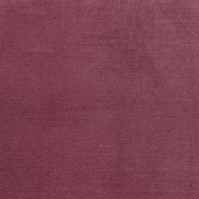 CLARKE AND CLARKE F1423/12.CAC.0 MACULO RASPBERRY Fabric - Eade's Wallpaper