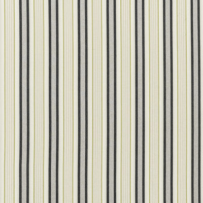 CLARKE AND CLARKE F1430/02.CAC.0 BELVOIR CHARCOAL/CHARTREU Fabric - Eade's Wallpaper