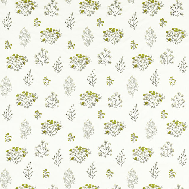 CLARKE AND CLARKE F1431/02.CAC.0 FLORIS CHARTREUSE Fabric - Eade's Wallpaper
