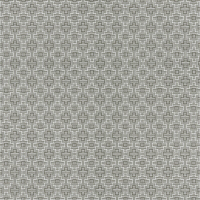 CLARKE AND CLARKE F1438/01.CAC.0 AZTEC CHARCOAL Fabric - Eade's Wallpaper