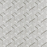 CLARKE AND CLARKE F1443/01.CAC.0 LINEAR CHARCOAL Fabric - Eade's Wallpaper