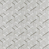 CLARKE AND CLARKE F1443/01.CAC.0 LINEAR CHARCOAL Fabric - Eade's Wallpaper
