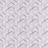 CLARKE AND CLARKE F1443/04.CAC.0 LINEAR SILVER Fabric - Eade's Wallpaper