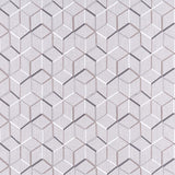 CLARKE AND CLARKE F1443/04.CAC.0 LINEAR SILVER Fabric - Eade's Wallpaper