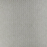 CLARKE AND CLARKE F1445/01.CAC.0 MONO CHARCOAL Fabric - Eade's Wallpaper