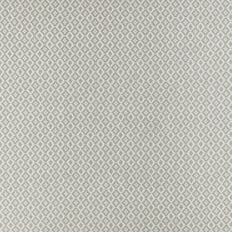 CLARKE AND CLARKE F1445/03.CAC.0 MONO SILVER Fabric - Eade's Wallpaper