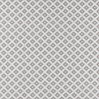 CLARKE AND CLARKE F1448/02.CAC.0 PARAGON SILVER Fabric - Eade's Wallpaper
