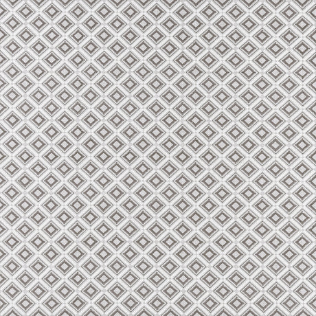 CLARKE AND CLARKE F1448/02.CAC.0 PARAGON SILVER Fabric - Eade's Wallpaper