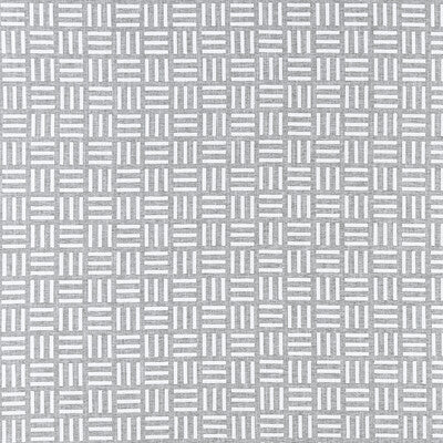 CLARKE AND CLARKE F1449/01.CAC.0 PARALLEL CHARCOAL Fabric - Eade's Wallpaper