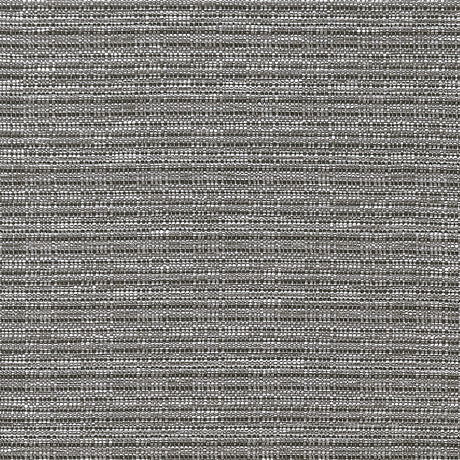 CLARKE AND CLARKE F1450/01.CAC.0 RAMIE CHARCOAL Fabric - Eade's Wallpaper