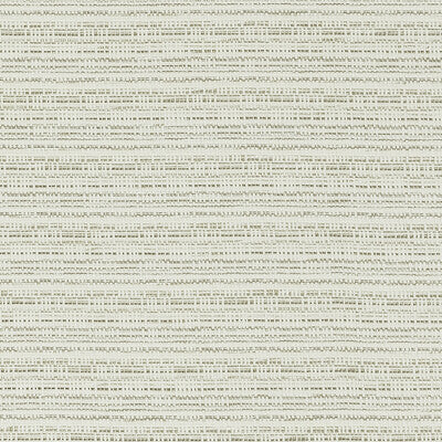 CLARKE AND CLARKE F1450/02.CAC.0 RAMIE IVORY Fabric - Eade's Wallpaper